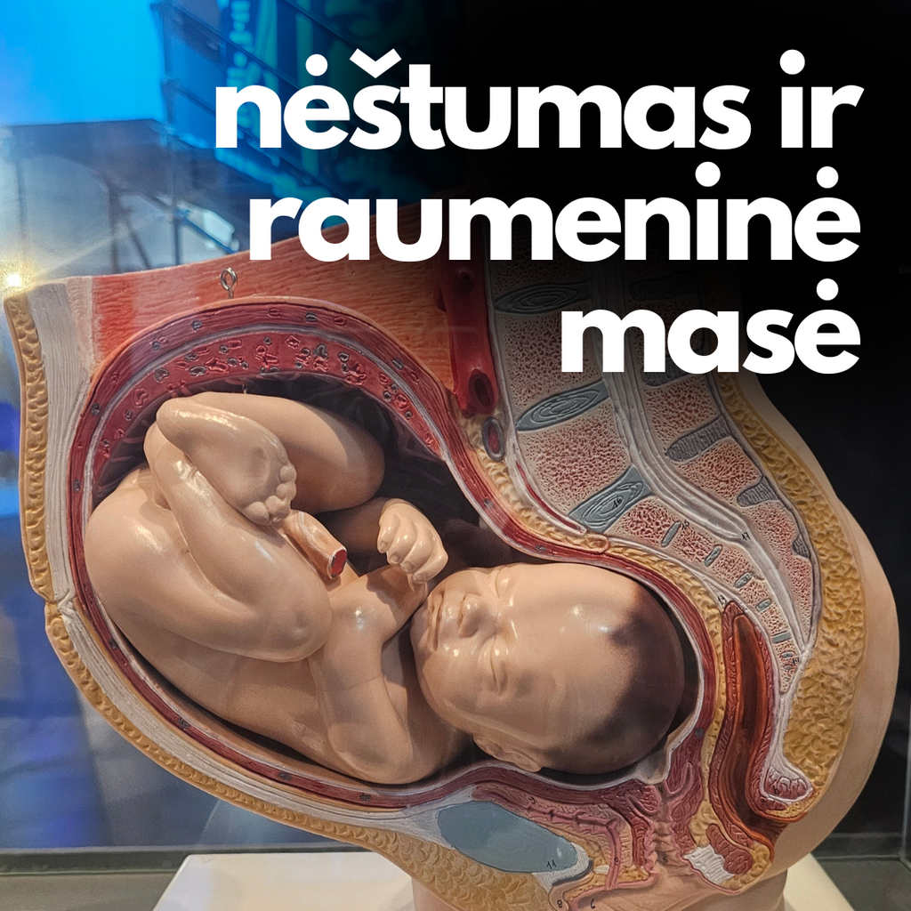 RAUMENYS IR ANATOMIJA NĖŠTUMO PERIODU